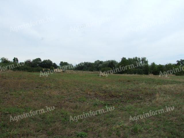 Eleki út – mezőgazdasági terület eladó Gyulán