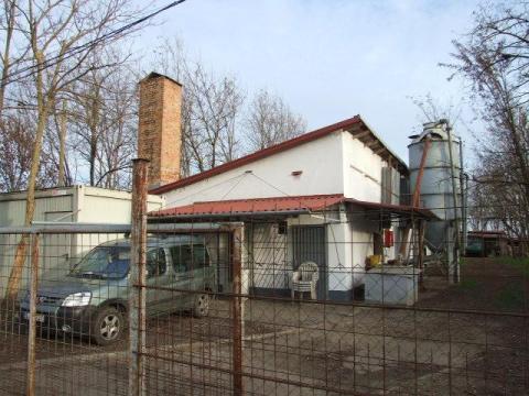 Gyula, Kétegyházi út közelében, működő tojótyúk telep eladó