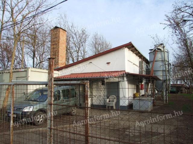 Gyula, Kétegyházi út közelében, működő tojótyúk telep eladó