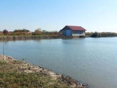 Kígyósi út – haltenyésztésre alkalmas mezőgazdasági ingatlan kedvező áron