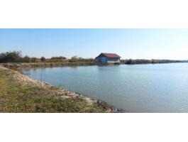 Kígyósi út – haltenyésztésre alkalmas mezőgazdasági ingatlan kedvező áron