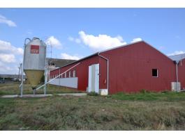 Szolnoki major, állattartó telep eladó