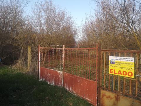 Törökzug, Külsőtörökzug – Eladó mogyoró ültetvény Gyulán