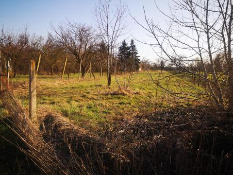 Törökzug, Külsőtörökzug