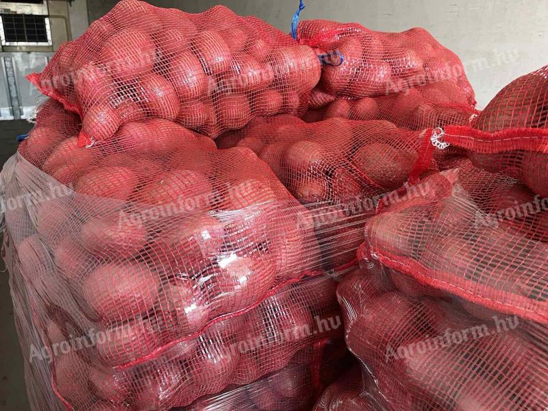 Étkezési burgonya, Balatoni Rózsa