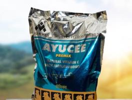 AYUCEE természetes C-vitamin tartalmú premix,  1 kg