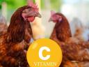 AYUCEE természetes C-vitamin tartalmú premix,  1 kg