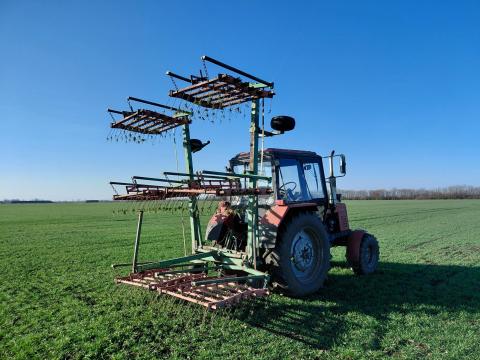 Gyomfésű Gyomfésű