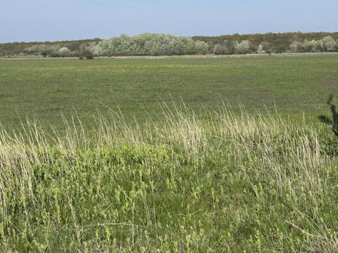 20 hektár összefüggő legelő Kunhegyes és Bánhalma között – azonnal birtokba vehető