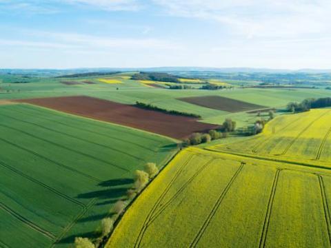 Szántóföld és rét bérlése Zala megyében, Dióskál körzetében