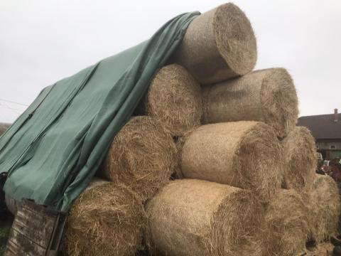 Körbálás szalma eladó