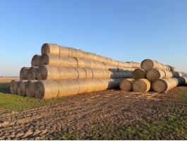 Eladó szalma bálák