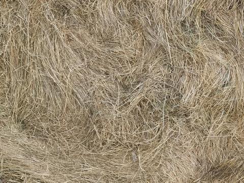 Prémium minőségű réti széna bála