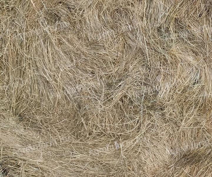 Prémium minőségű réti széna bála