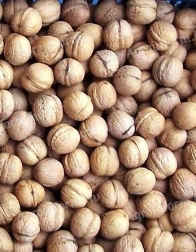 Milotai M10 héjas dió eladó