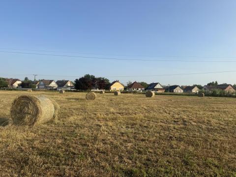 Kalocsán 3 ha telek eladó