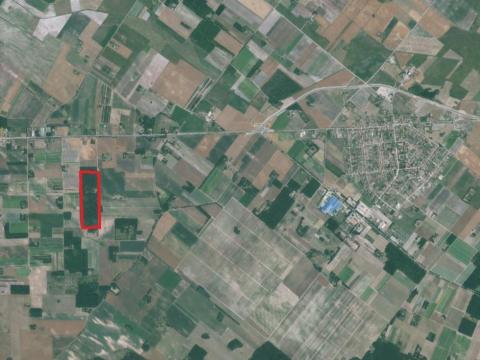 Erdő eladó Kecskemét és Szentkirály között