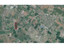 Erdő eladó Kecskemét és Szentkirály között