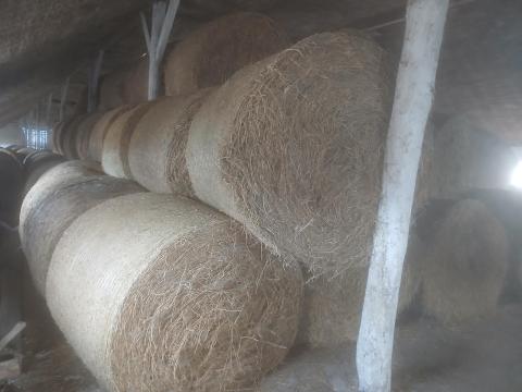 Lucernaszéna eladó vagy cserélhető Polgáron