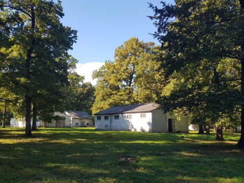 50-100 éves tölgyfás 80.000 m2 építési telek 50-100 éves tölgyfás 80.000 m2 építési telek