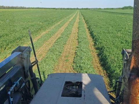 Lucerna föld Lucerna föld