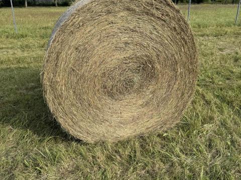 150-es széna körbála eladó 150-es széna körbála eladó