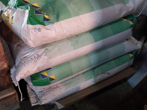 Somkóró fémzárolt vetőmag eladó Somkóró fémzárolt vetőmag eladó