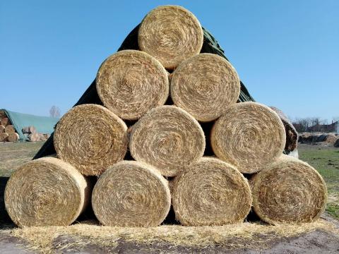 Eladó 400 db szalmabála Eladó 400 db szalmabála