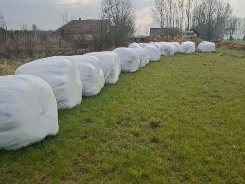 Szenázsbála eladó Szenázsbála eladó