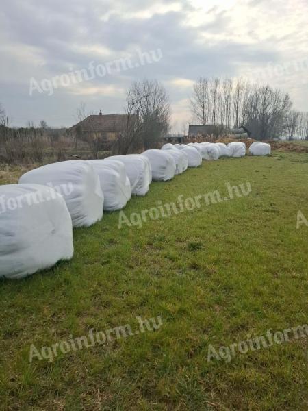 Szenázsbála eladó