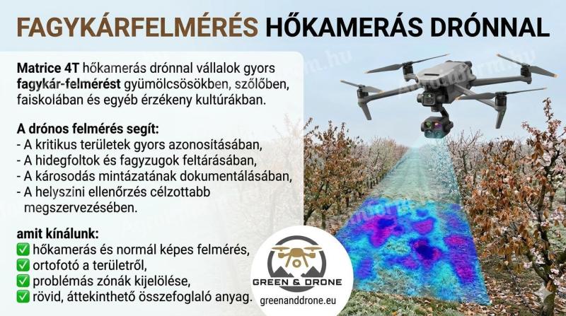 Fagykárfelmérés hőkamerás drónvizsgálattal