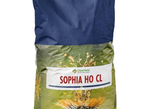 SOPHIA CL HO magas olajsavas Clearfield napraforgó vetőmag