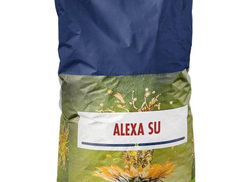 ALEXA SU tribenuron-metil-toleráns linolsavas napraforgó vetőmag