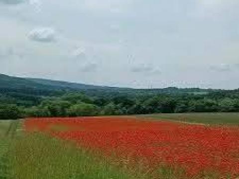 Nagyegyháza mellett 7 hektáros major eladó teljes közművel