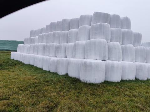 Lucerna szénázs bála eladó Lucerna szénázs bála eladó