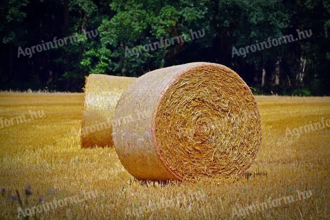 Szalmabálák eladó búzából