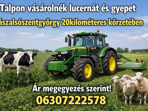 Talpon vennék lucernát és gyepet