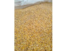 Kukorica eladó