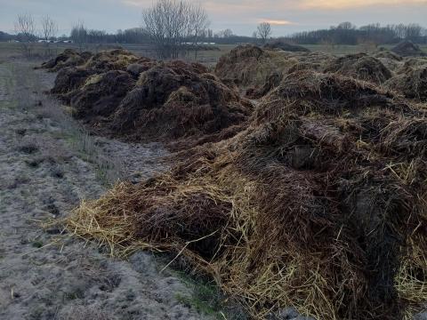 Baromfitrágya eladó