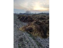 Baromfitrágya eladó