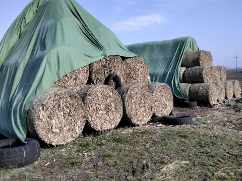 Kukoricaszár bála eladó