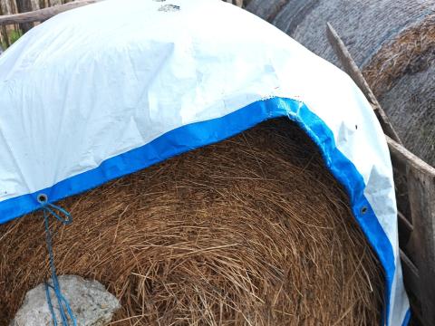 Lucerna és réti széna eladó Bordányban