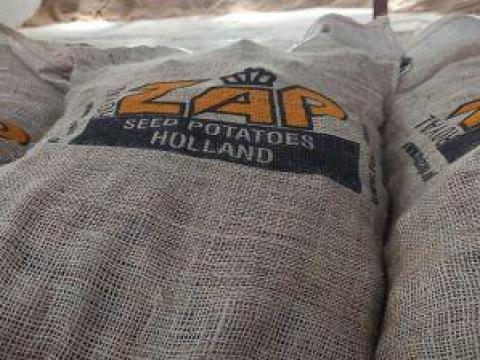 Holland fémzárolt vetőburgonya akció