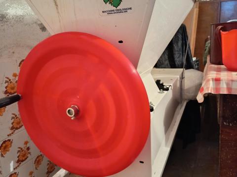 Szőlőbogyózó eladó