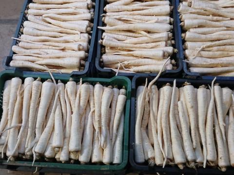 Eladó petrezselyem gyökér