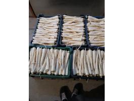 Eladó petrezselyem gyökér