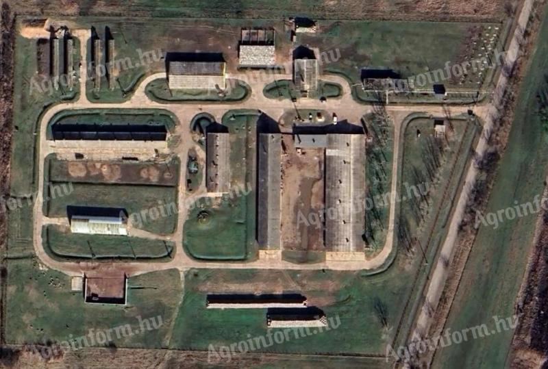 Békés vármegye – jól felszerelt állattartó telep eladó