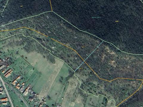 3,2 hektár,  1/1 tulajdonú akácerdő eladó Nemtiben,  220.000 Ft / hektár