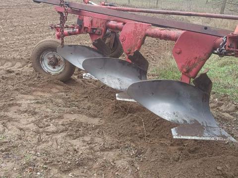 3 fejes eke eladó 3 fejes eke eladó