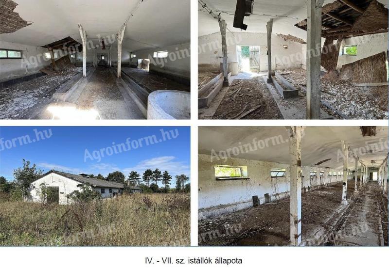 Papkeszin volt állattartó telep, nagy területtel eladó
